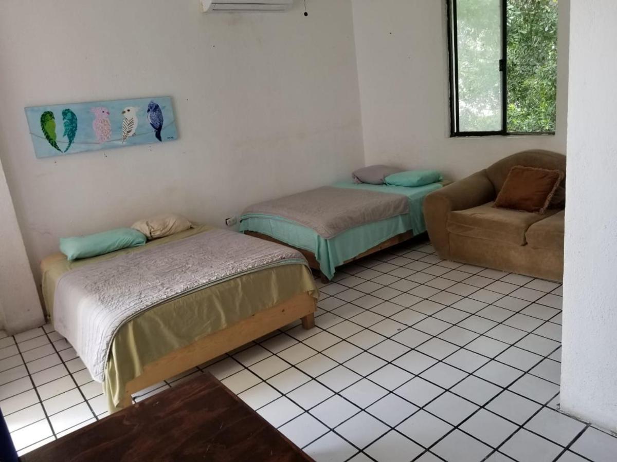 Taiyari Hostal 몬테레이 외부 사진